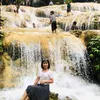 minhviet1981