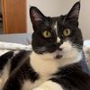kkattery0811