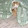 www.tiktok.olimpafugaz