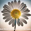 flor.com345