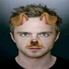 leoolsdd