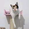 astrid23431
