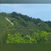 paixrespectamour24