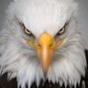 abdulaziz_2105