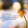 wanderleinascime28p