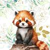 orange_fox_not_panda