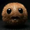 the.kiwi05