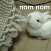 bill_6788