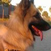 juanlo37636871297