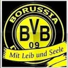 bvbschubi