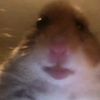 its.leha.robloxer