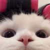 nawal_sm5