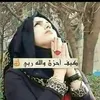 user16366620
