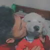 daniel_hackcod
