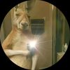 randomm_2023
