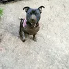troofteller