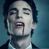 daa.vampire