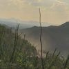cloudgazer432