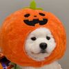 smilemuu_