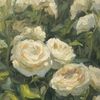 cjad_453