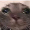 mayimba8