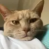 emdougie