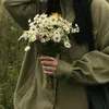panda_pth_2107