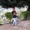 fung_ctzulaikha