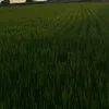 __sr9xp