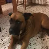 leoricco01