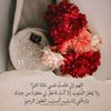 user68014331