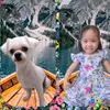 bata_and_batuta