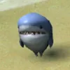 wazakpuso