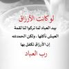 user533237044