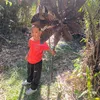 miniguapi