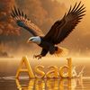 asad_sheikh009