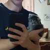 yarik_h0