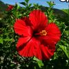 user00361980
