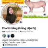 thanhhang0699