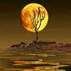 bruna032024
