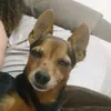 shushuioo