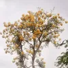 .bungalili0