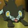 tsujo_