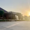 najmadin_gardii07