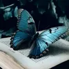 cris_mina_38