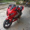 syaiful_amin5758
