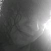 soniarodriguez562