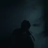 danarr_2