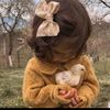 marwaomar44