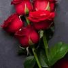 user502240380